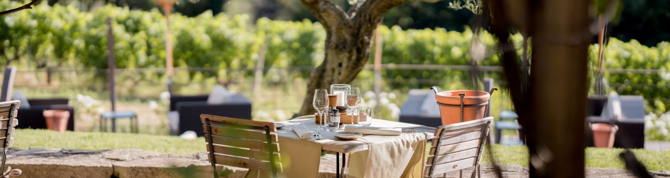 traditional restaurant bistrot les vignes and its garden, hotel coquillade provence in the luberon at gargas